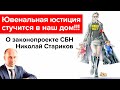 Николай Стариков о законе «О профилактике семейно-бытового насилия в Российской Федерации»