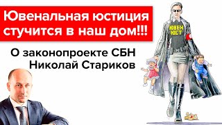 Николай Стариков о законе «О профилактике семейно-бытового насилия в Российской Федерации»