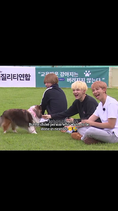 When most expressive dog chose Suga the future life stone🤭🤣