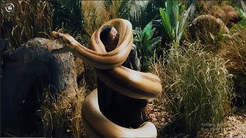 Python Island (2022). Movie recaps.