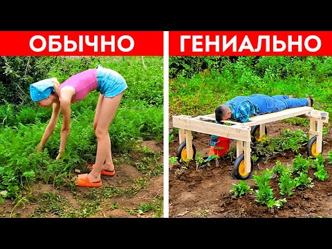 Видео: Советы по выращиванию овощей: начало огородничества на заднем дворе в вашем дворе
