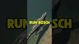 Can We Outsmart The Alpha Croc On The Isle?