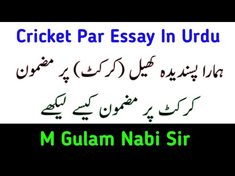 essay on cricket in urdu for class 4