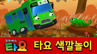 [타요 색깔놀이] 4화 초록색