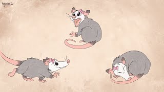 Pretty Pink Possum - original music