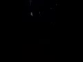 Fishing - Live Stream