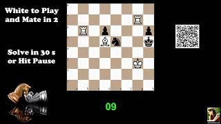 Computer-Generated Chess Problem 03769