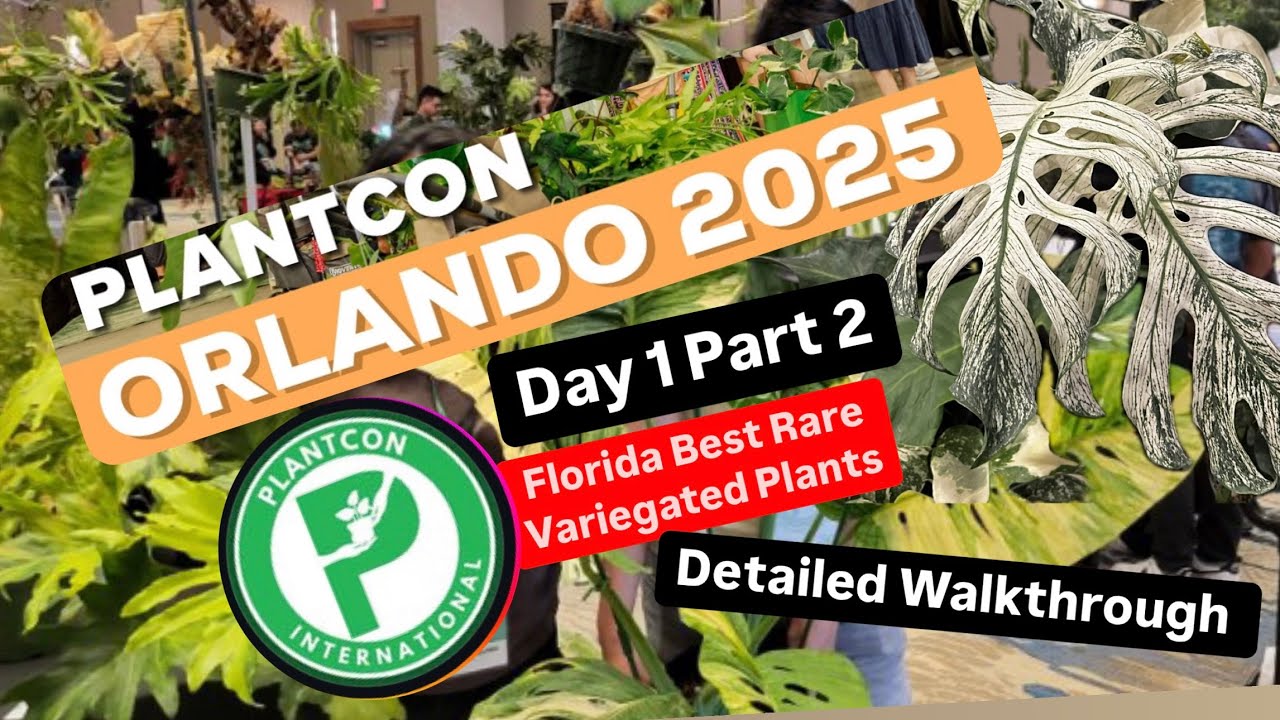 Plant Con 2025 Orlando Florida Day 1 Part 2 Rare Variegated 