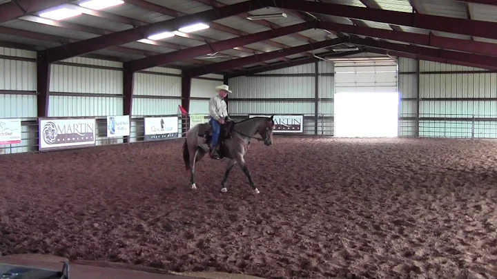 Training Tip Tuesday- Keeping Your Horse Soft