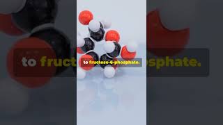 Mechanism of enzyme action | Biochemistry  #biochemistry