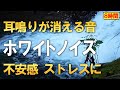 【耳鳴り治療音 ホワイトノイズ】耳鳴り改善・ 耳鳴り軽減 | 耳鳴りが治る滝の音