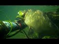 Подводная охота Разное 2.mp4. Spearfishing