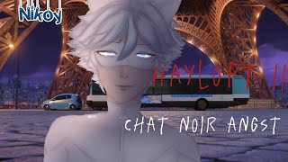 Miraculous Ladybug Hayloft II meme | Animatic+Gacha | Chat Noir Angst | PLEASE READ DESCRIPTION