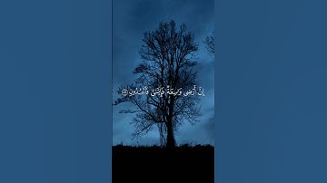 {كل نفسٍ ذائقة الموت}🍁 القارئ محمد ديبيروف🍁سورة العنكبوت #اكسبلور #المصحف #راحة_نفسية #الرحمن