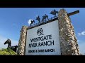 Westgate River Ranch Resort and Rodeo | RV Resorts | RV Life | Florida Glamping | Family Camping