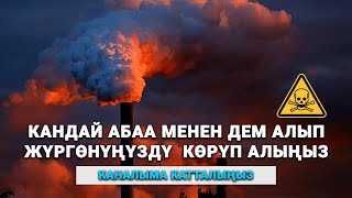 Кандай Абаа Менен Дем Алып Жүргөнүңүздү Көрүп Алыңыз (Комментарийсиз)