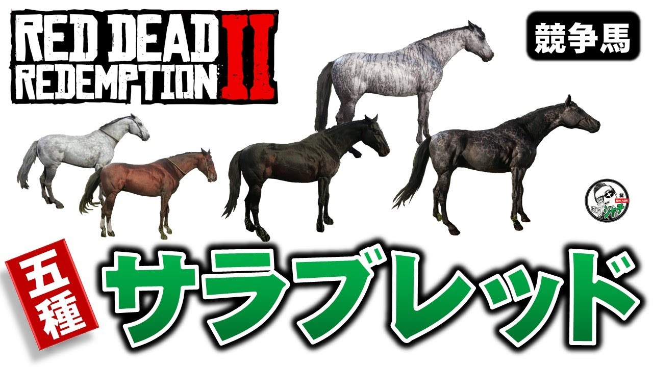 Rdr2 サラブレッド 5種 Youtube