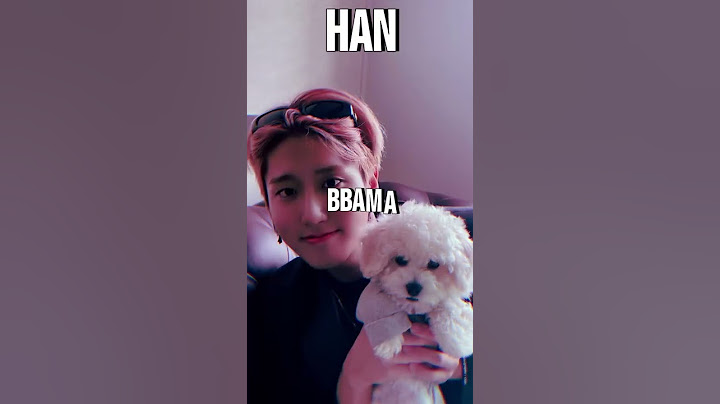 Stray Kids Pets