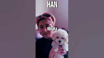 Stray Kids Pets