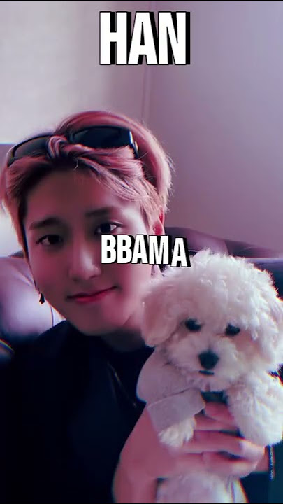 Stray Kids Pets