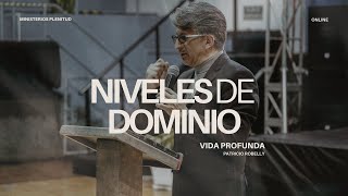 Ministerios Plenitud l Vida Profunda - Niveles de Dominio