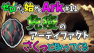 [ #11 ゼロから始めるArk ] 免疫のアーティファクト サクッと取ってくる #ラグナロク #ark #arksurvivalevolved #コラボ