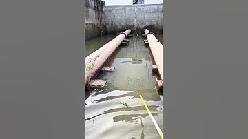 Bất ngờ nước lên quá nhanh nhưng câu cá lại giật liên tục! #cauca #fishing #shorts