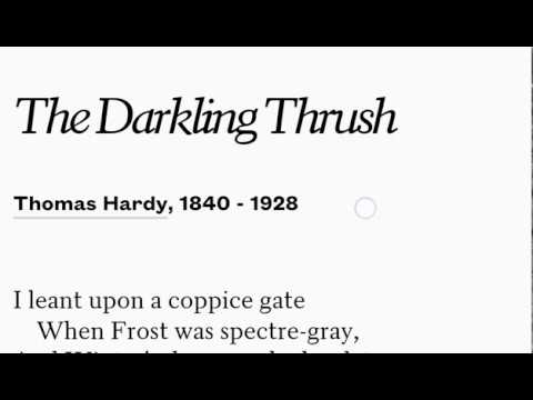 the darkling thrush meaning