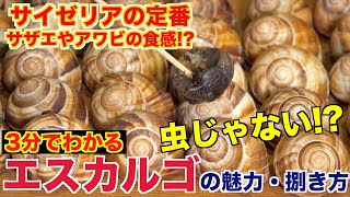 【虫ではなく貝！？】エスカルゴの魅力と食べ方