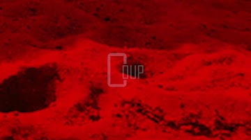 Hector Oaks - Move In Circles, Walk On Lines [BAS004]