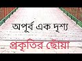 অপরূপ দৃশ্য সেই সুন্দর একটা ভিডিও #gardening