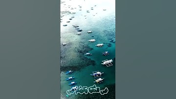 سورة المائدة و.كا.نك تسمعها لأ.و.ل مر..ة 🌷.🌸.💗.💙.🧡🌺بصوت الشيخ حمزة مد.بو.ح 💝.💟.🥀.💗🌻.🌼