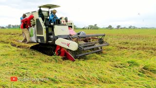 CARA KOMBI SAWAH MAXXI BIMO XTREME MEMANEN PADI REBAH