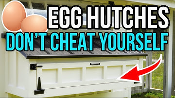 Egg hutches - watch before building yours!