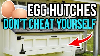 Egg hutches - watch before building yours!