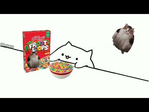 bongo-cat-got-his-loops-🐱