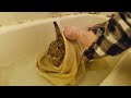 Dexter&#39;s first bath!