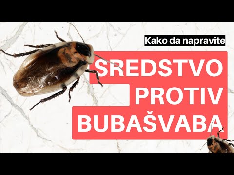 Video: Borna kiselina i žumance od žohara: proporcije, recept, pravila upotrebe