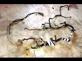 Subaru Engine Wiring Harnes