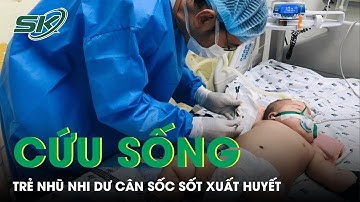 Cứu Sống Trẻ Nhũ Nhi Dư Cân Bị Sốc Sốt Xuất Huyết Nặng I SKĐS