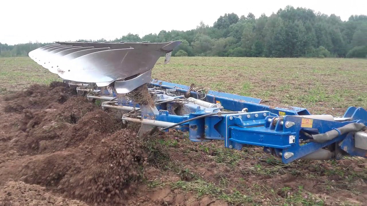 Case magnum & overum  (arimas)