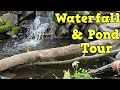 Backyard Ponds And Waterfalls