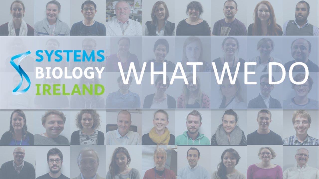Systems Biology Ireland: What we do