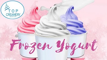 FROZEN YOGURT RECIPE WITH ICE CREAM MAKER | HOW TO MAKE FROZEN YOGURT CHECK IT OUT!
