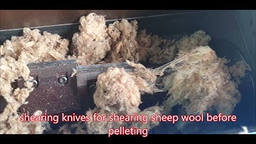 European leader in sheep wool shredding and pelletizing, pellet mill wool,shredding wool,wool pellet