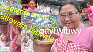 Sase madamni noao berayhwibay