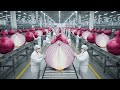 Inside the Largest US Onion Powder Factory: Full Process From Raw to Ready