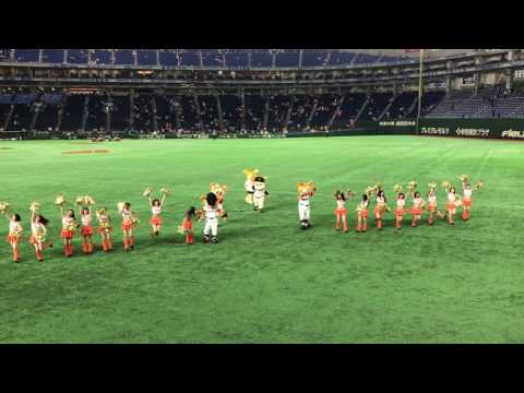 20170625 東京ドーム　巨人　勝利の2次会　ジャビット