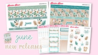 June *NEW* Releases 🐚 | Budgeting &amp; Planning Stickers | Romina Rossa
