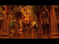 Disneyland | Indiana Jones Adventure | Queue Loop (Radio & Generator)